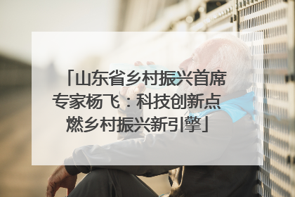 山东省乡村振兴首席专家杨飞：科技创新点燃乡村振兴新引擎