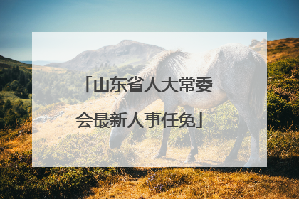 山东省人大常委会最新人事任免