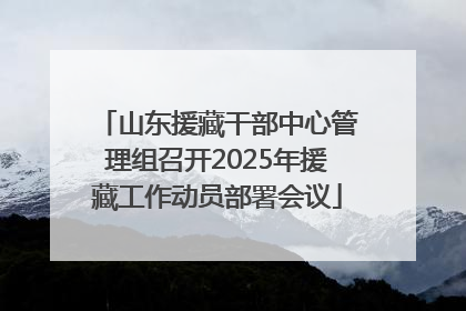 山东援藏干部中心管理组召开2025年援藏工作动员部署会议