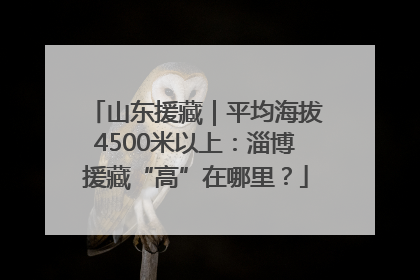 山东援藏｜平均海拔4500米以上：淄博援藏“高”在哪里？