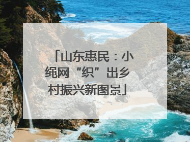 山东惠民：小绳网“织”出乡村振兴新图景