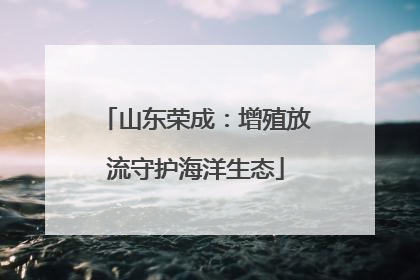 山东荣成：增殖放流守护海洋生态