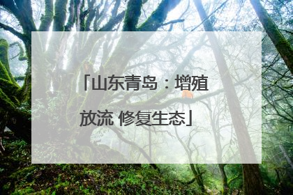 山东青岛：增殖放流 修复生态