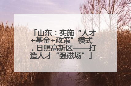 山东：实施“人才+基金+政策”模式，日照高新区——打造人才“强磁场”