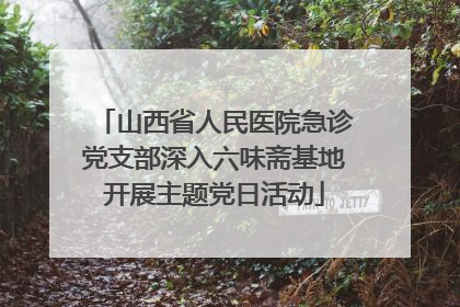 山西省人民医院急诊党支部深入六味斋基地开展主题党日活动