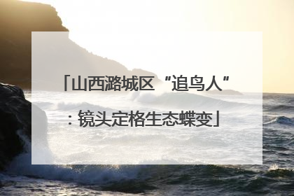山西潞城区“追鸟人”：镜头定格生态蝶变