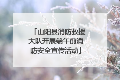 山阳县消防救援大队开展端午前消防安全宣传活动