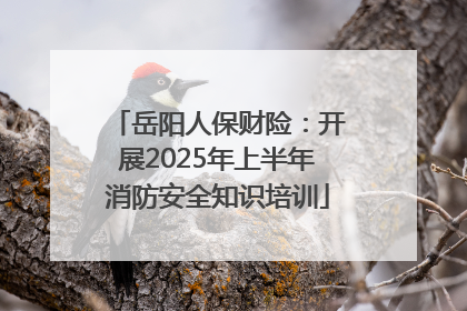岳阳人保财险：开展2025年上半年消防安全知识培训