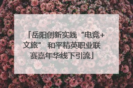 岳阳创新实践“电竞+文旅” 和平精英职业联赛嘉年华线下引流
