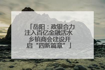 岳阳：政银合力注入百亿金融活水 乡镇商会建设开启“四新篇章”