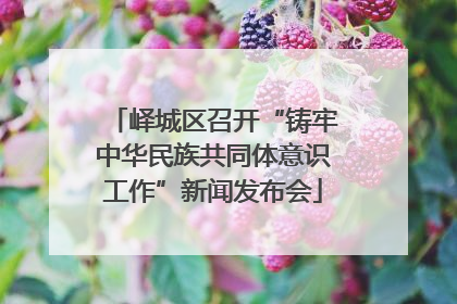 峄城区召开“铸牢中华民族共同体意识工作”新闻发布会