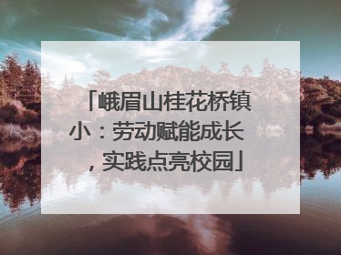 峨眉山桂花桥镇小：劳动赋能成长，实践点亮校园