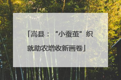 嵩县：“小蚕茧”织就助农增收新画卷