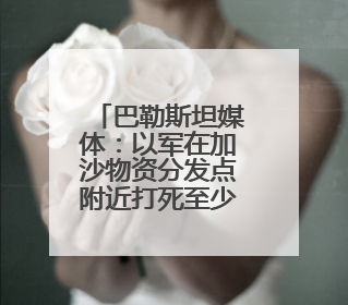 巴勒斯坦媒体：以军在加沙物资分发点附近打死至少28人