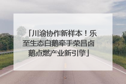 川渝协作新样本！乐至生态白鹅牵手荣昌卤鹅点燃产业新引擎