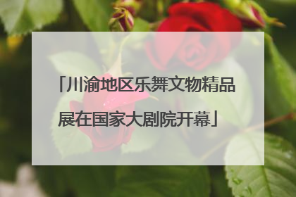 川渝地区乐舞文物精品展在国家大剧院开幕