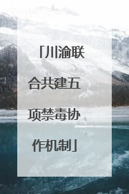 川渝联合共建五项禁毒协作机制