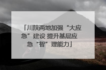 川陕两地加强“大应急”建设 提升基层应急“智”理能力