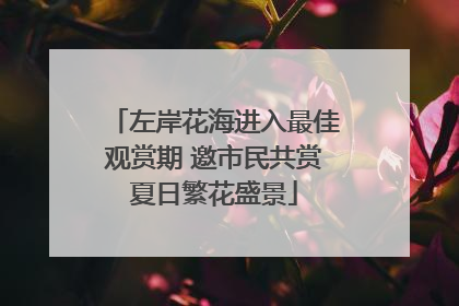 左岸花海进入最佳观赏期 邀市民共赏夏日繁花盛景