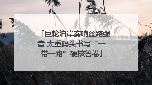 巨轮泊岸奏响丝路强音 太重码头书写“一带一路”硬核答卷