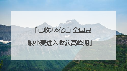 已收2.6亿亩 全国夏粮小麦进入收获高峰期
