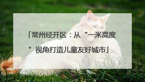 常州经开区：从“一米高度”视角打造儿童友好城市