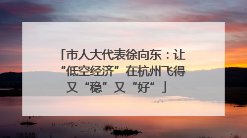 市人大代表徐向东：让“低空经济”在杭州飞得又“稳”又“好”