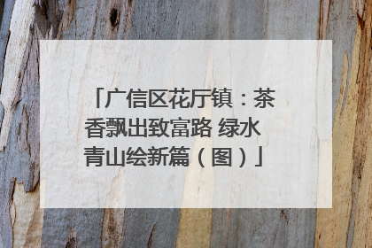 广信区花厅镇：茶香飘出致富路 绿水青山绘新篇（图）