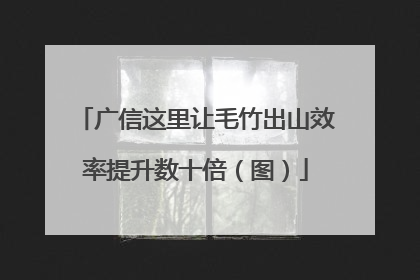 广信这里让毛竹出山效率提升数十倍（图）