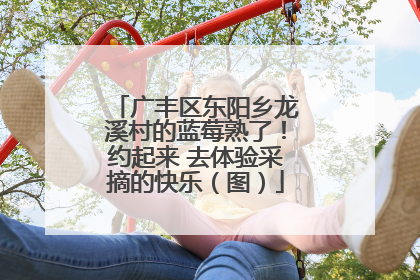广丰区东阳乡龙溪村的蓝莓熟了！约起来 去体验采摘的快乐（图）