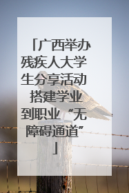 广西举办残疾人大学生分享活动 搭建学业到职业“无障碍通道”