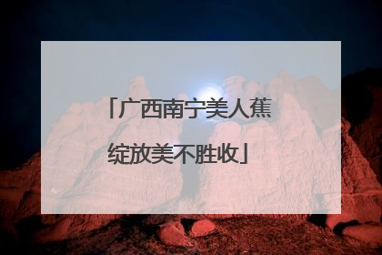 广西南宁美人蕉绽放美不胜收