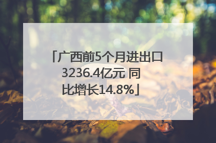 广西前5个月进出口3236.4亿元 同比增长14.8%