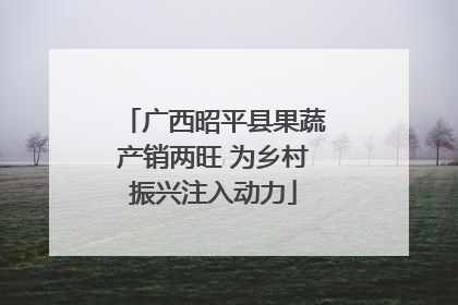 广西昭平县果蔬产销两旺 为乡村振兴注入动力