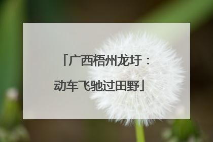 广西梧州龙圩：动车飞驰过田野