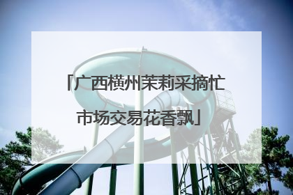 广西横州茉莉采摘忙 市场交易花香飘