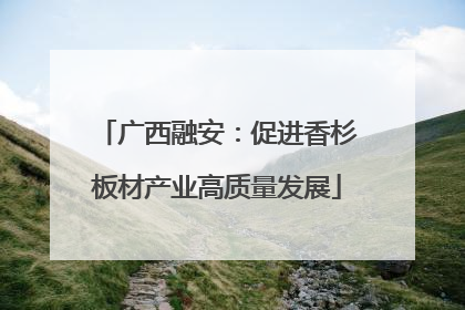 广西融安：促进香杉板材产业高质量发展