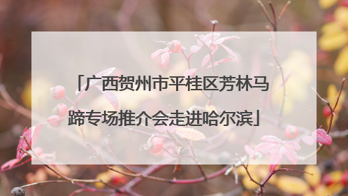 广西贺州市平桂区芳林马蹄专场推介会走进哈尔滨