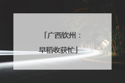 广西钦州：早稻收获忙
