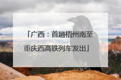 广西：首趟梧州南至重庆西高铁列车发出