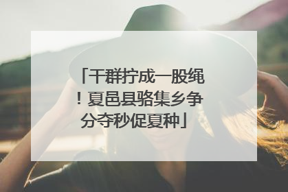 干群拧成一股绳！夏邑县骆集乡争分夺秒促夏种
