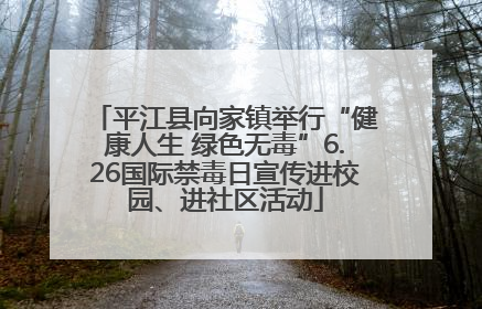 平江县向家镇举行“健康人生 绿色无毒”6.26国际禁毒日宣传进校园、进社区活动