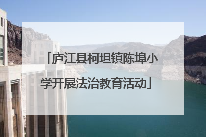 庐江县柯坦镇陈埠小学开展法治教育活动