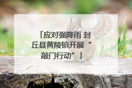 应对强降雨 封丘县黄陵镇开展“敲门行动”