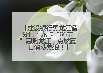 建设银行黑龙江省分行：龙卡“66节”惠购龙江，点燃夏日消费热浪！