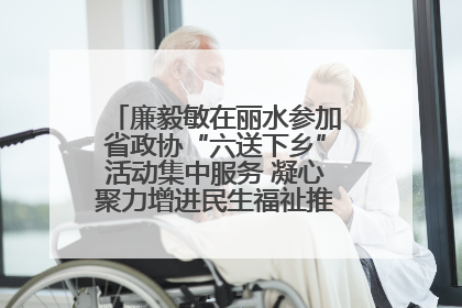廉毅敏在丽水参加省政协“六送下乡”活动集中服务 凝心聚力增进民生福祉推进共同富裕