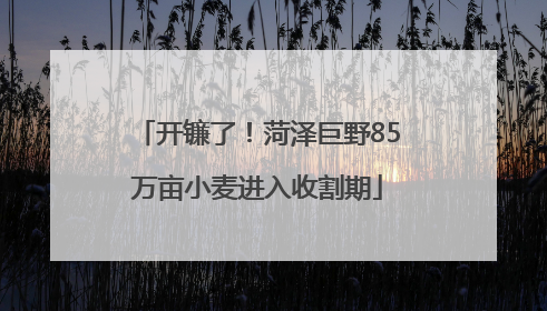 开镰了！菏泽巨野85万亩小麦进入收割期