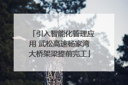 引入智能化管理应用 武松高速杨家湾大桥架梁提前完工