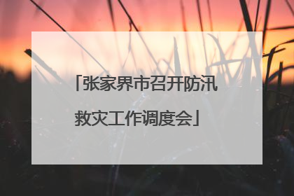 张家界市召开防汛救灾工作调度会