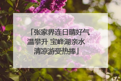 张家界连日晴好气温攀升 宝峰湖亲水清凉游受热捧